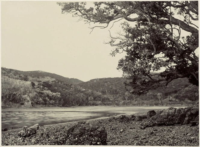 Assassination Cove, Oraukawa Bay, Northland, New Zealand