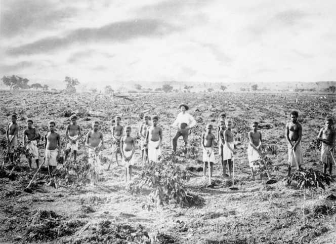 Polynesian labour boys on the plantation