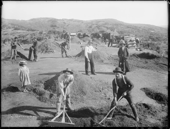 Gum diggers, Northland