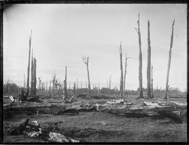 Cleared land, probably Stratford district