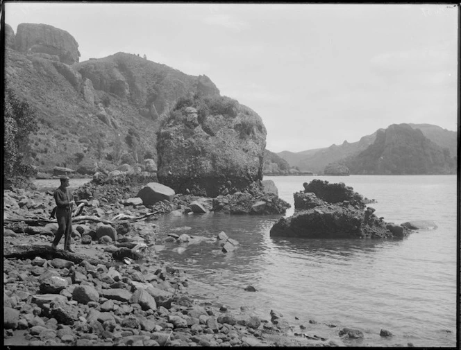 Whangaroa Harbour