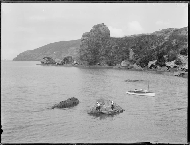 Whangaroa Harbour