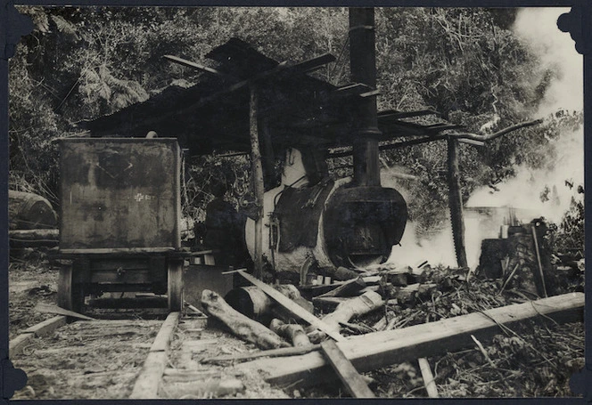 Stationary steam engine in bush