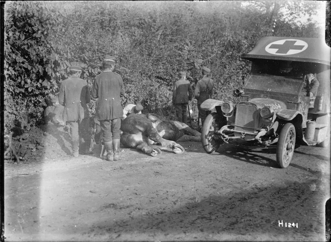 German prisoners burying a horse, France