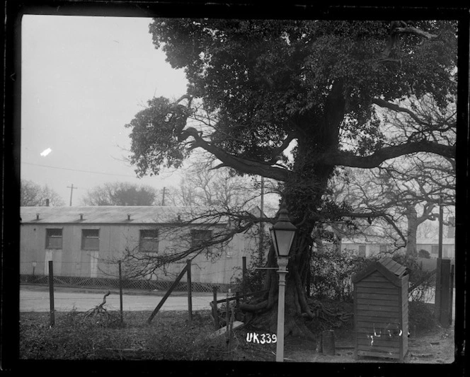 View of buildings at Brockenhurst Hospital, England