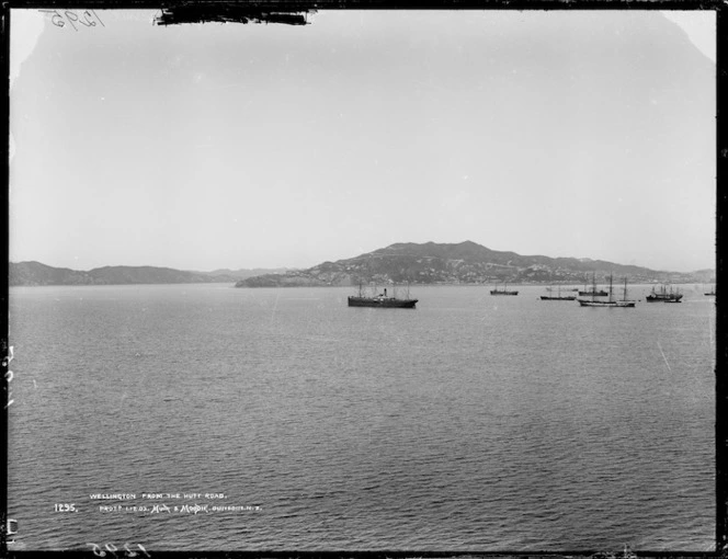 Wellington Harbour