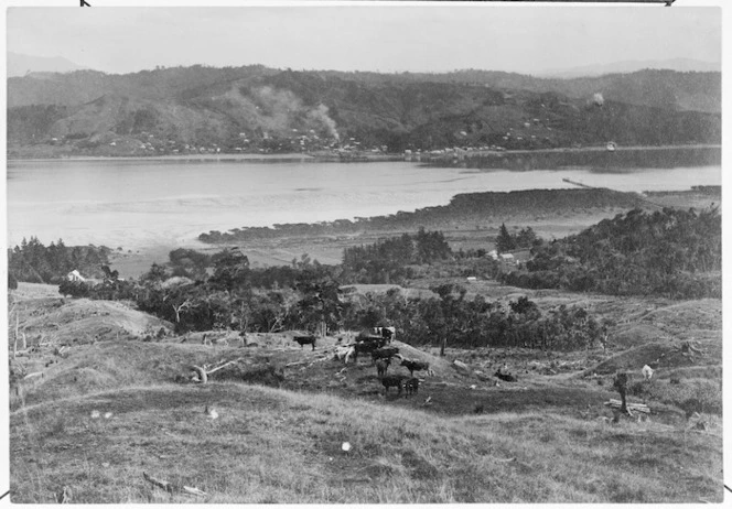 Kohukohu from Ivydale, Hokianga