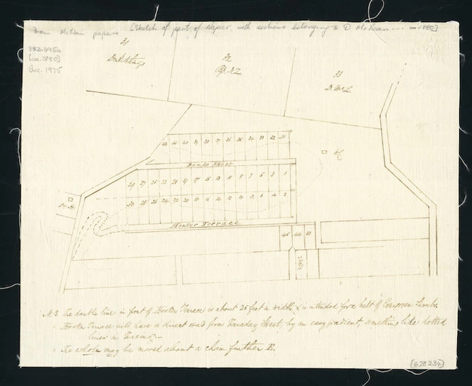 [Creator unknown] :[Sketch of part of Napier, with sections belonging to D McLean ca. 1880] [ms map].