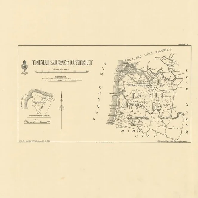 Tainui Survey District [electronic resource] / W. Gordon, del. Feb. 1904.