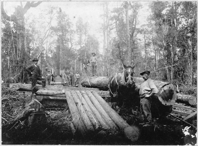 Group with logs and steam log hauler, Arnold Siding, West Coast