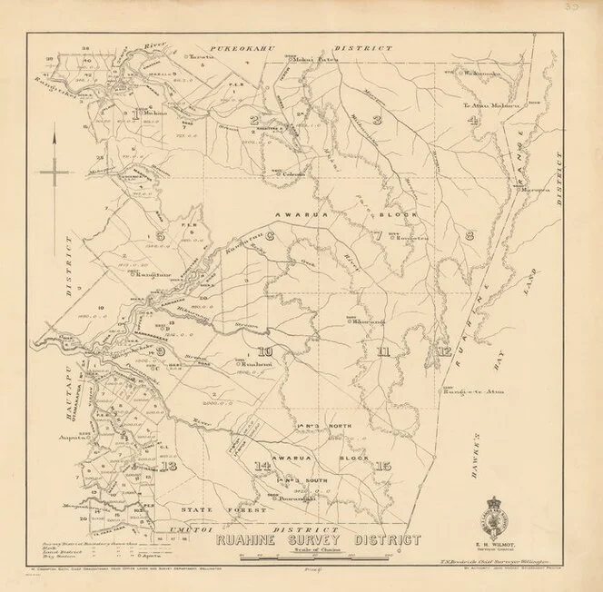Ruahine Survey District [electronic resource].