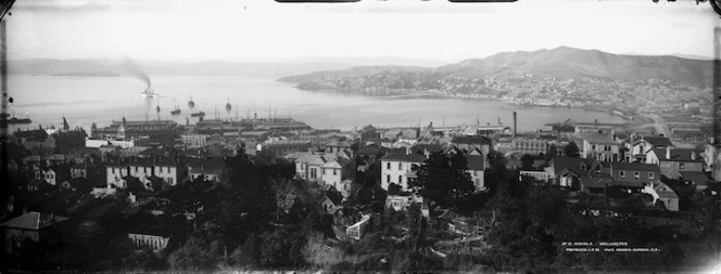Muir & Moodie: [View of Wellington]