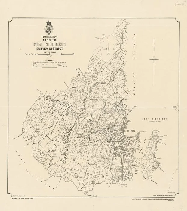 Map of the Port Nicholson Survey District [electronic resource] / H. Armstrong, delt.