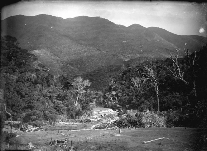 View of the bush and hills, near Oteranga Bay, Cape Terawhiti