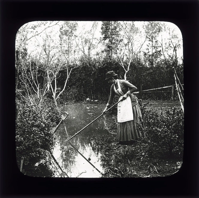 Mrs Lydia Williams using a rake in her garden, Napier