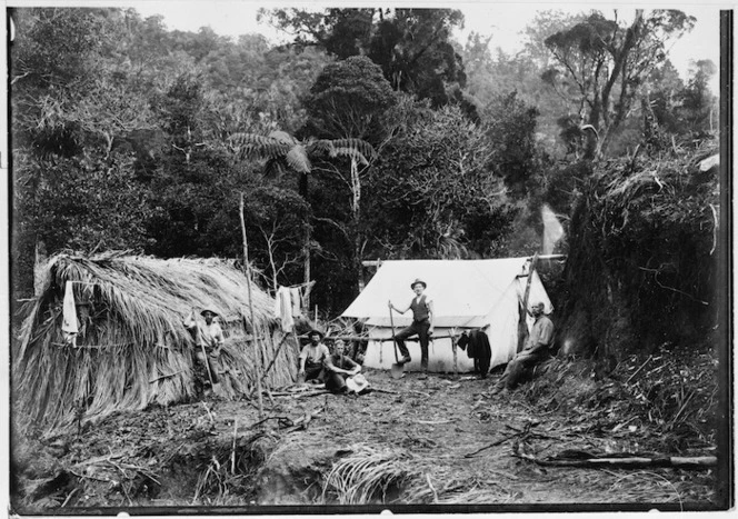 Timber camp, Northland