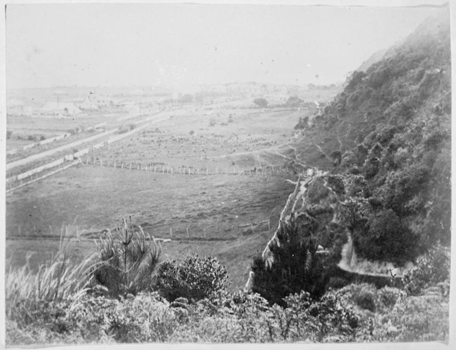 Near Sir James Hector's house, Ratanui, Petone area, Lower Hutt