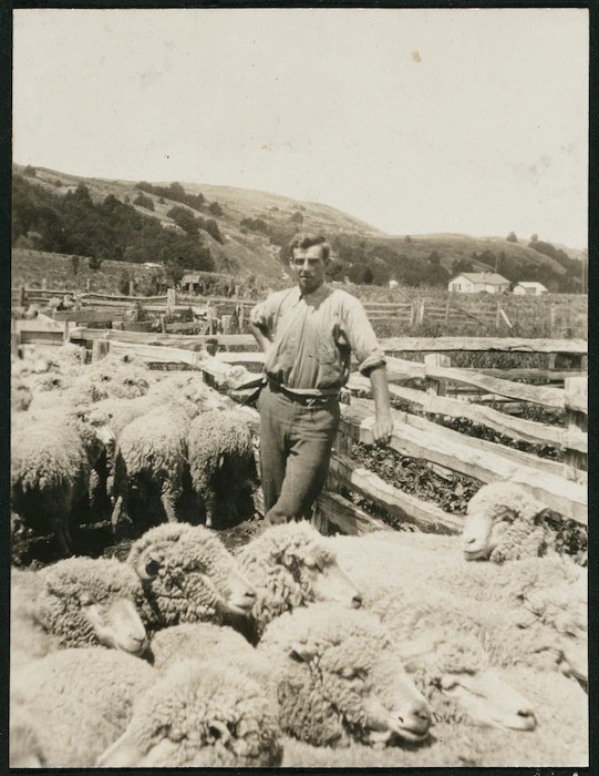 Laurie Walker among the sheep, Manuka Point Station, Canterbury