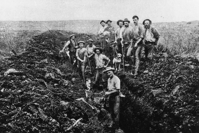 Gang of Dalmatian gum diggers draining the Aranga swamp, Maunganui Bluff, Northland