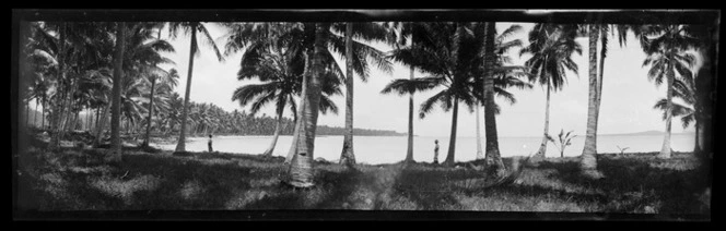 View [probably near Apia], Samoa, taken through palm trees towards a crescent-shaped beach