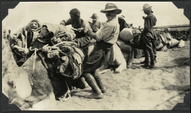 Soldiers of the Wellington Mounted Rifles loading camels, Egypt