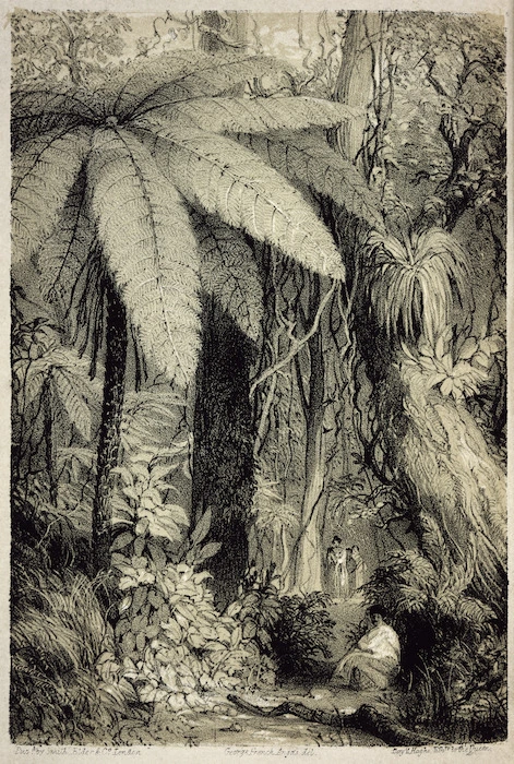 Angas, George French, 1822-1886 :Scene in New Zealand forest near Waipa / George French Angas del. Pubd by Smith, Elder & Co., London. Day & Haghe, lithrs to the Queen. 1847.