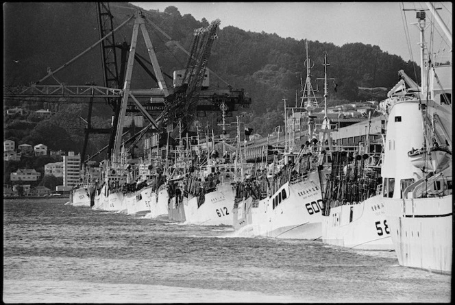 Fleet of Japanese squid boats docked at Aotea Quay, Wellington
