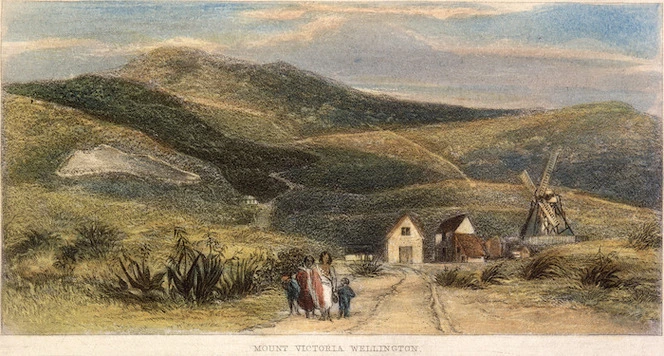 Brees, Samuel Charles 1810-1865 :Mount Victoria, Wellington [between 1843 and 1845] / Drawn by S C Brees. [Engraved by Henry Melville. London, 1847]. [No] 50, Plate 17.