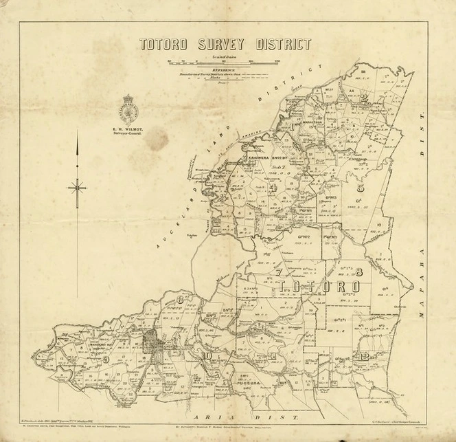 New Zealand. Department of Lands and Survey : Totoro Survey District [map with ms annotations]. 1916.