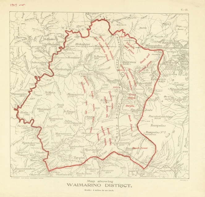 New Zealand. Department of Lands : Map showing Waimarino District [map]. 1909