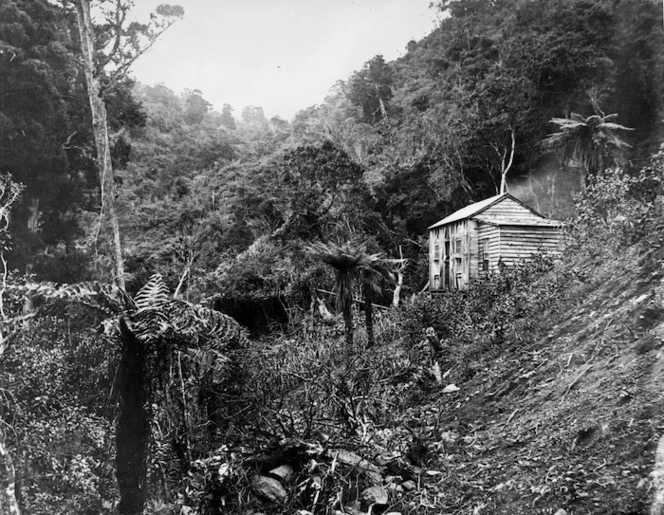 Hut in the bush