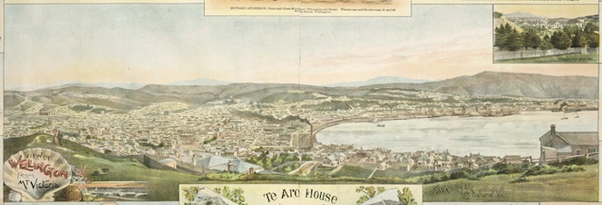 F W Niven & Co. :View of Wellington from Mt Victoria [ca 1895]