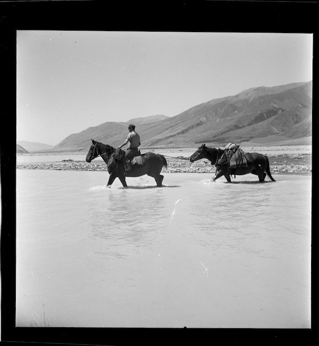 Packhorses crossing the Rakaia River