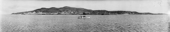 Panoramic view of Bluff