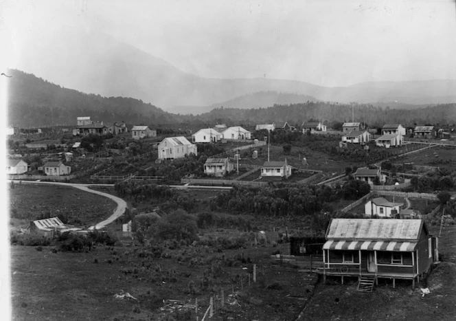 View of Waiuta township looking south