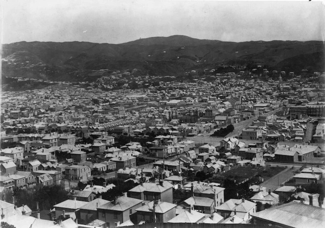 Overlooking Wellington City