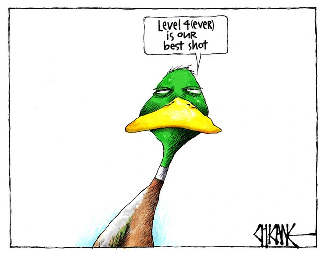 Duck shooting - Level four is our best shot