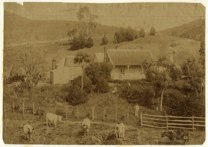 Rural house in Northland, Wellington