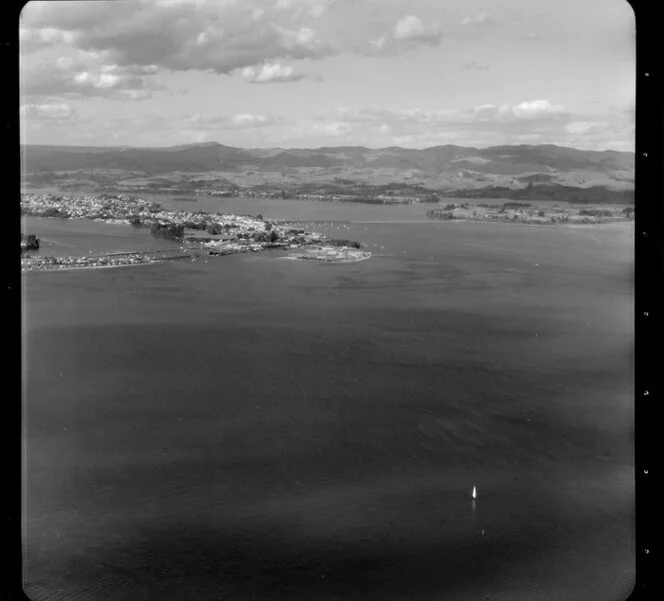 Tauranga Harbour