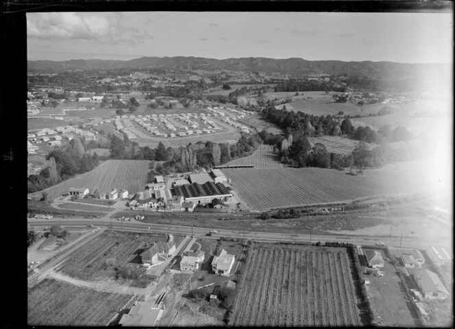 Winery, A A Corban and Sons, Henderson Block, Auckland