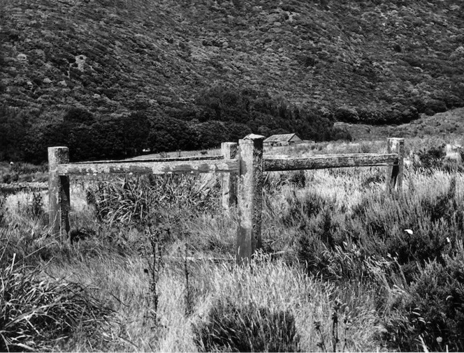 Possible grave site of Rangihiroa, Kapiti Island