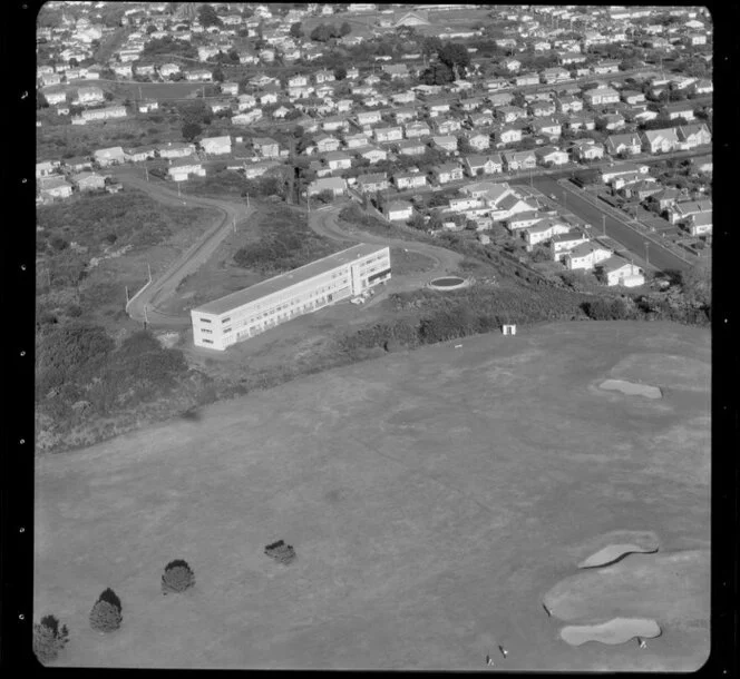 Auckland business premises and houses