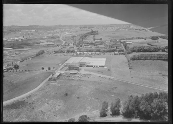 Freezing works of R & W Hellaby Limited, Auckland