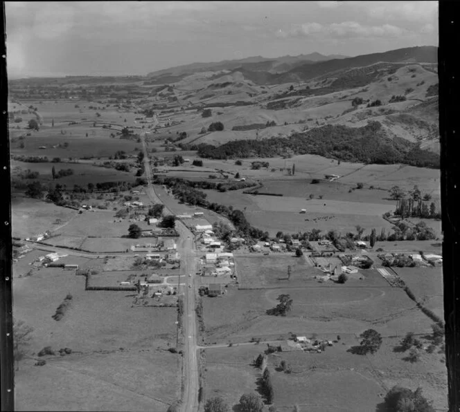 Puriri, South east of Thames