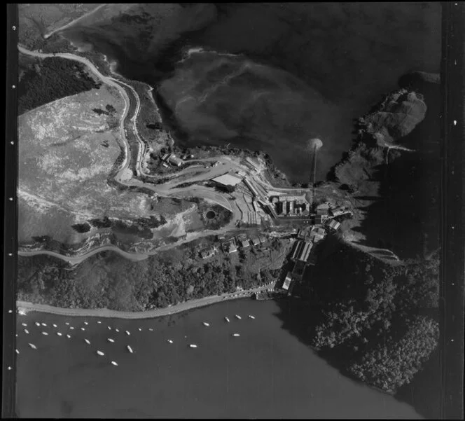 Picton, Marlborough District, featuring freezing works and Shakespeare Bay