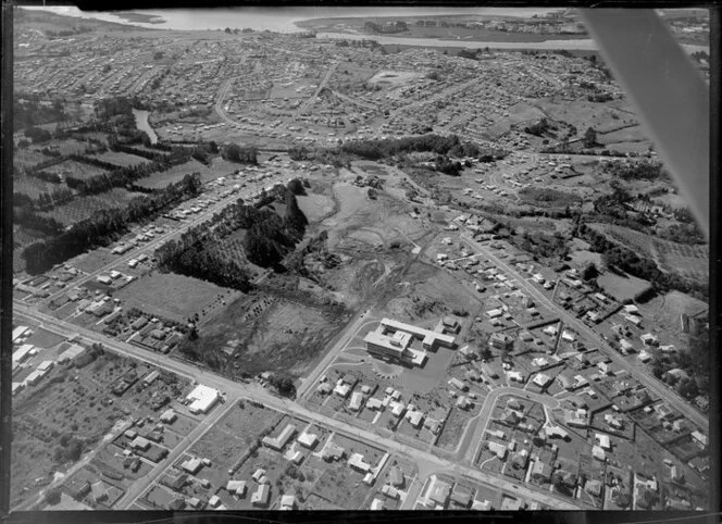 Henderson showing Lincoln Road and Waitakere Hospital in foreground, Waitakere, Auckland