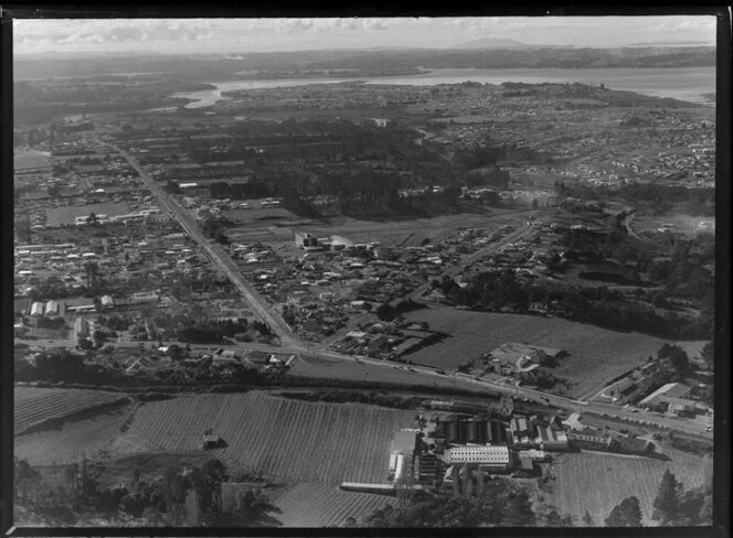 Henderson, Auckland, including Corban's Vineyard and Winery