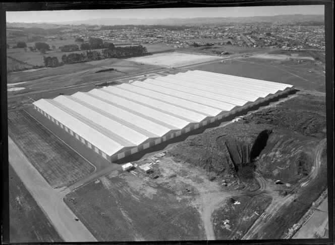 Dalgety and New Zealand Loan Ltd woolstore, Wiri, Auckland