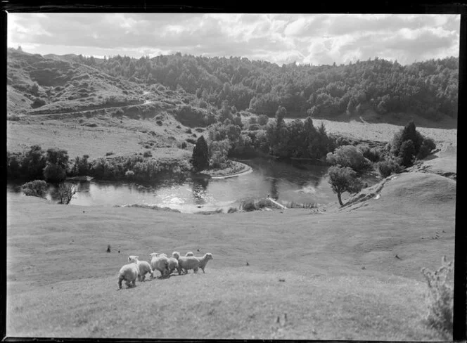 Rural scene near Kaituna River, Rotorua