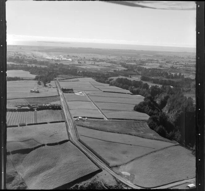 Cultivated land near Te Puke, Bay of Plenty
